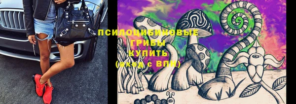 прущие крисы Абаза